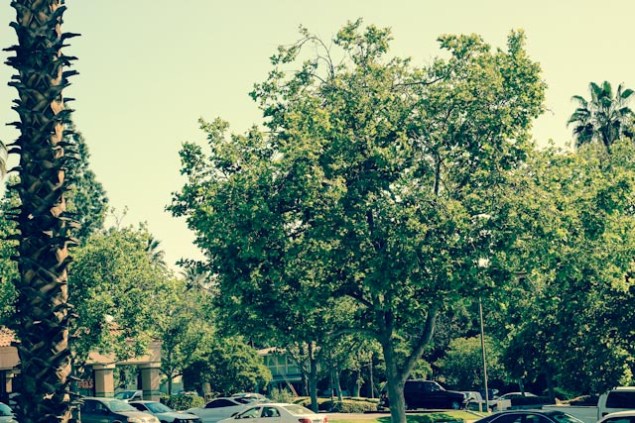 brewcakesritualandhangarfantasticmanday-4