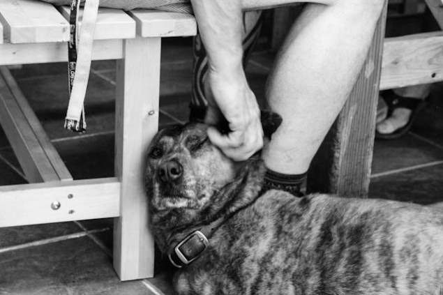 fathersofficecismontaine-15