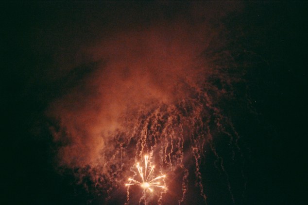 Brewgrassand4thofjulyandpicklesandaffigem-134