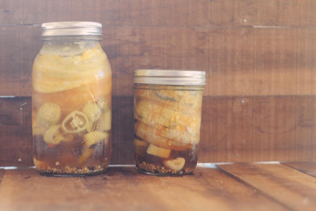 Brewgrassand4thofjulyandpicklesandaffigem-143