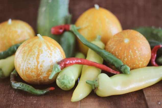 Brewgrassand4thofjulyandpicklesandaffigem-28