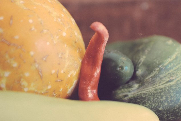 Brewgrassand4thofjulyandpicklesandaffigem-31