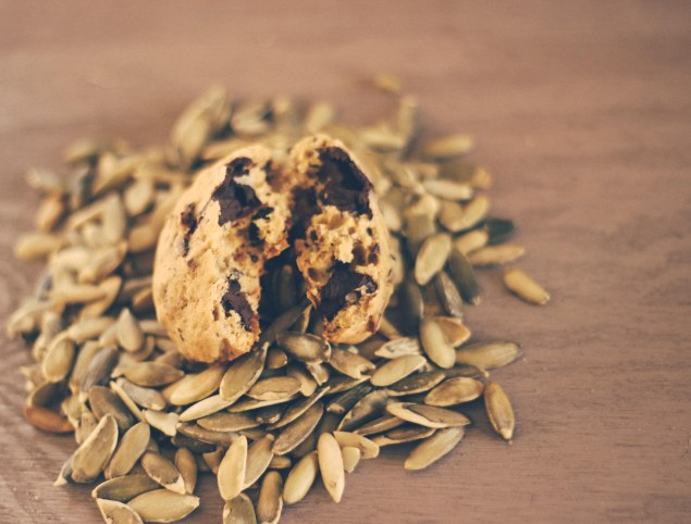 pumpkincookiesgardenweddingbeerday-49