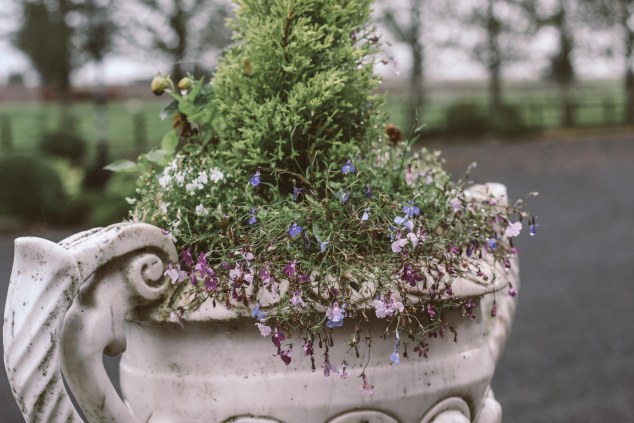 Bert House Photos - Athy - Ireland-10