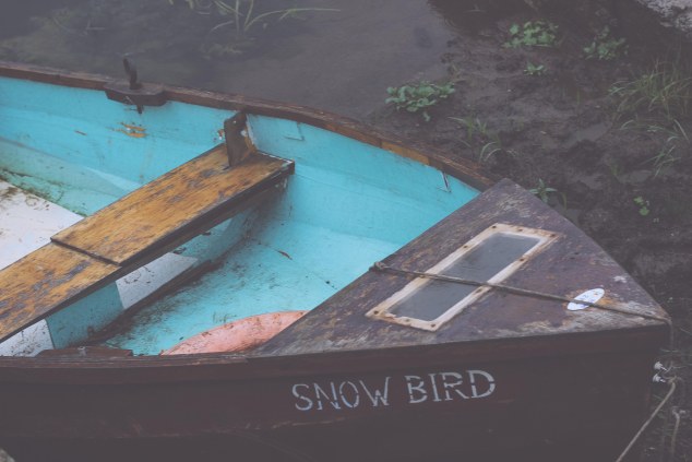 Bert House Photos - Athy - Ireland-3