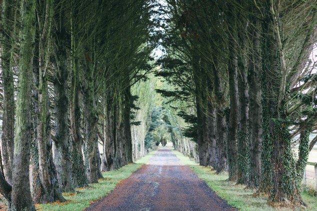 Bert House Photos - Athy - Ireland-36