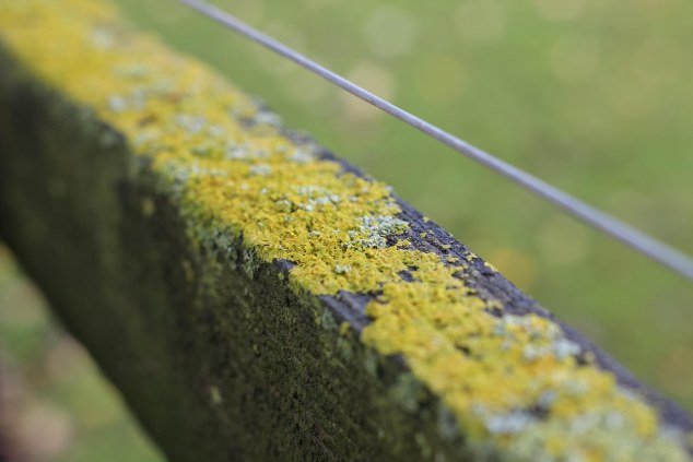 Bert House Photos - Athy - Ireland-46