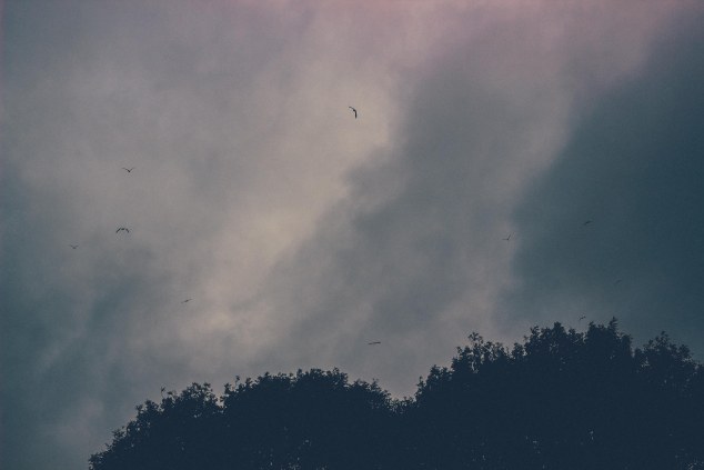 Bert House Photos - Athy - Ireland-6