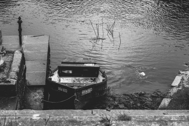 Bert House Photos - Athy - Ireland-7