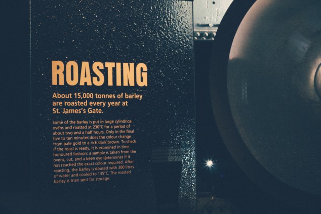 Guinness Factory and Dublin - Ireland-17