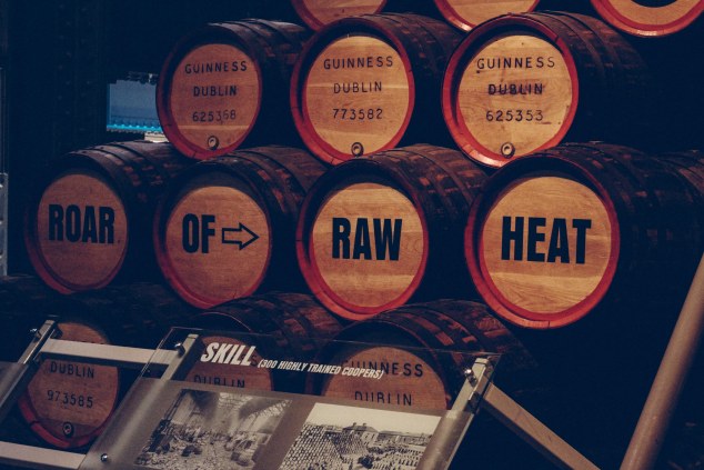 Guinness Factory and Dublin - Ireland-24