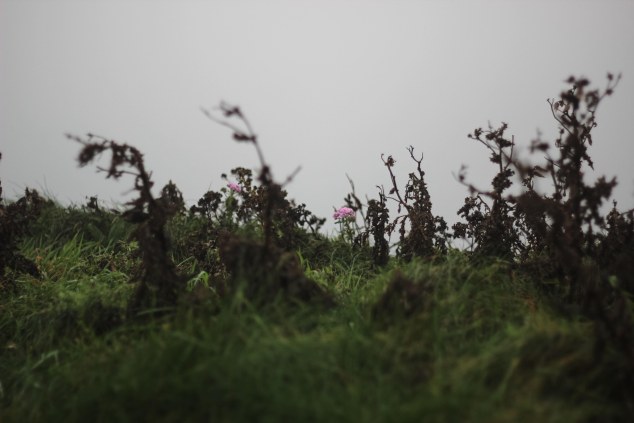 Cliffs of Moher - Ireland-12