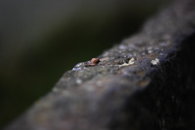 Cliffs of Moher - Ireland-2
