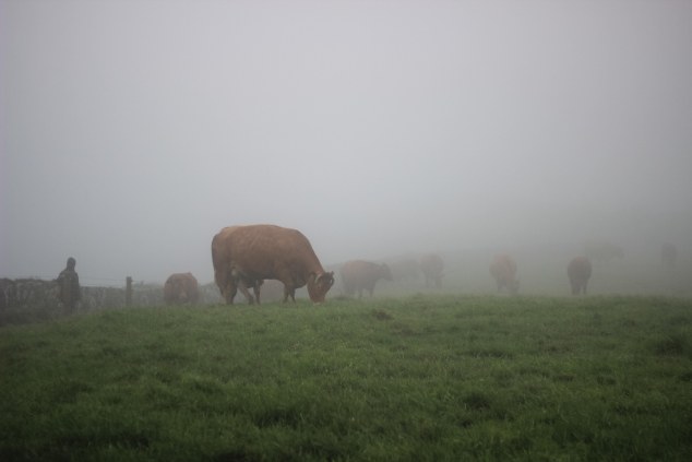 Cliffs of Moher - Ireland-28
