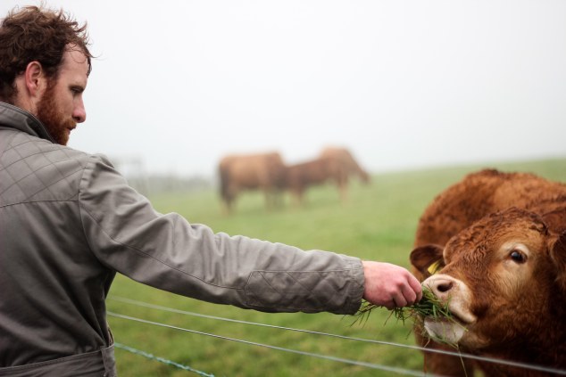 Cliffs of Moher - Ireland-34