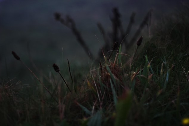 Cliffs of Moher - Ireland