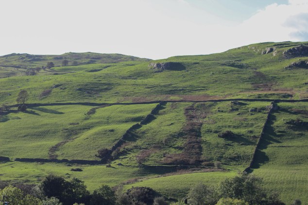 Hawkshead Brewery - edited-13