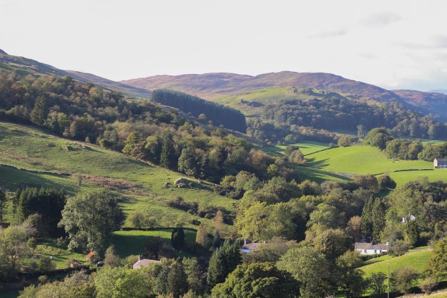 Hawkshead Brewery - edited-14