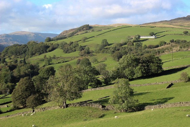 Hawkshead Brewery - edited-15