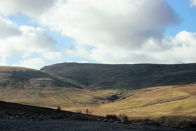 Hawkshead Brewery - edited-17