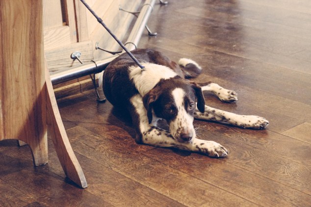 Hawkshead Brewery - edited-7