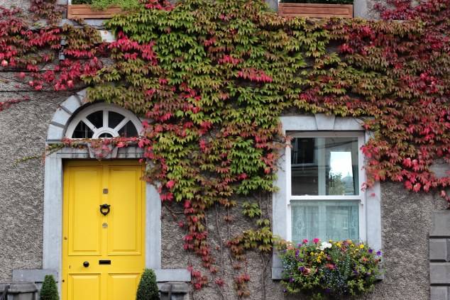 Kilkenny - Ireland-14