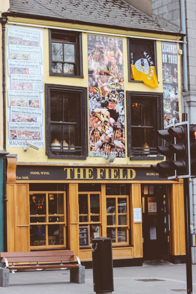 Kilkenny - Ireland-6