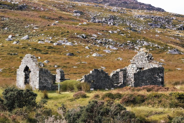 Wicklow and Glendalough-10