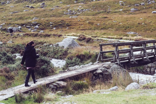 Wicklow and Glendalough-12