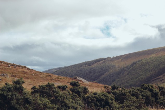 Wicklow and Glendalough-14