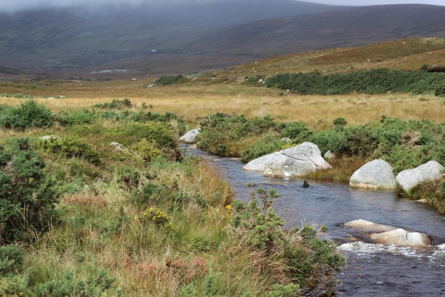 Wicklow and Glendalough-16