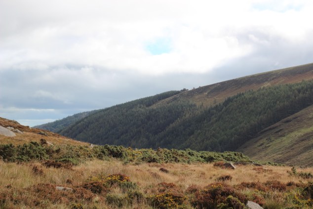 Wicklow and Glendalough-17