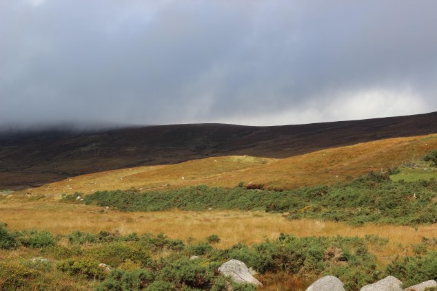 Wicklow and Glendalough-28