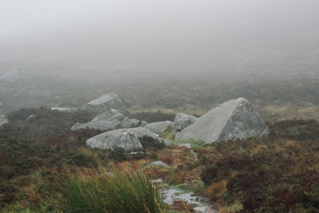 Wicklow and Glendalough-4