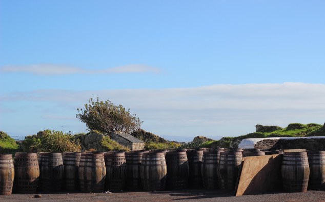 Distillery Tour in Islay-27