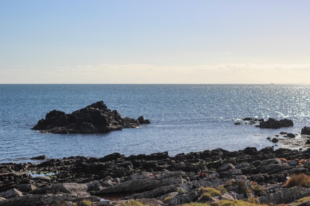 Distillery Tour in Islay-43