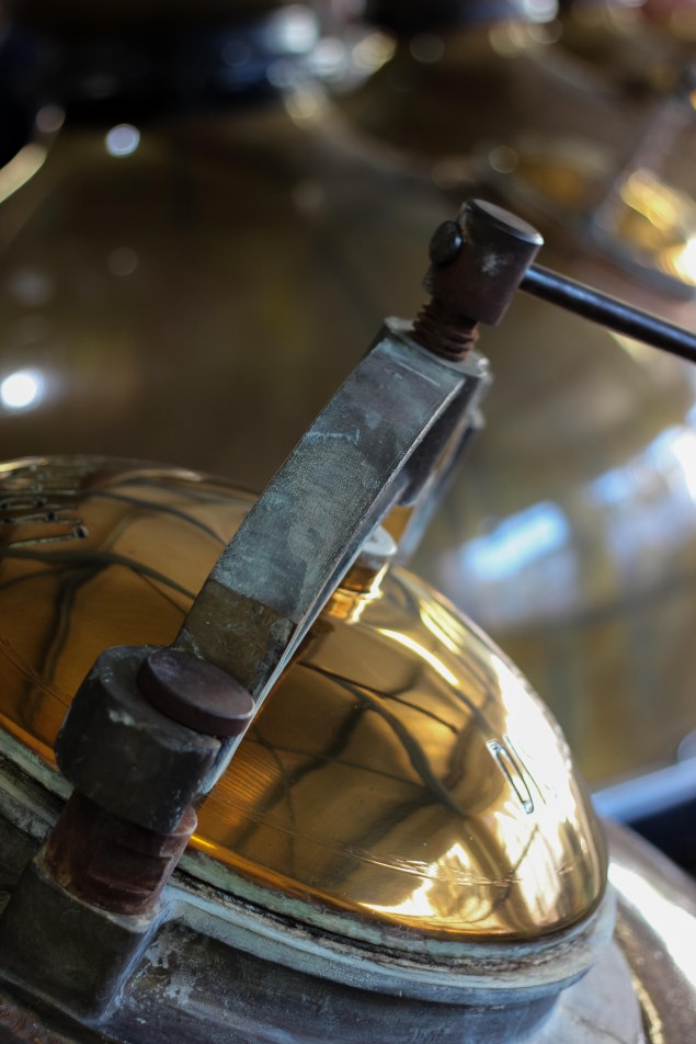 Distillery Tour in Islay-66