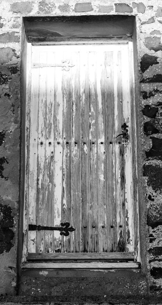 Islay cows and landscape-23