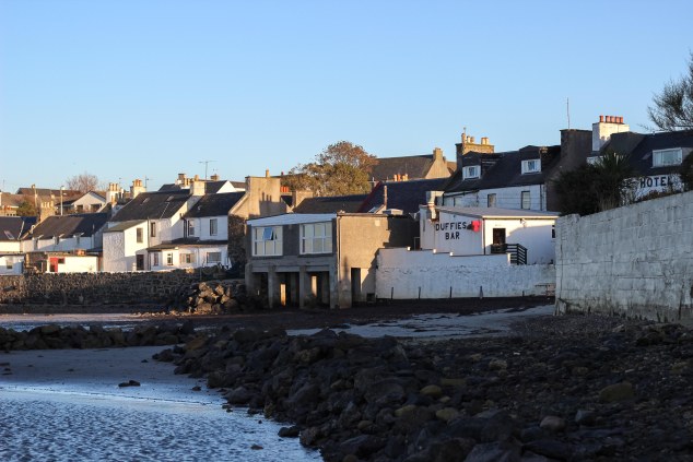Islay cows and landscape-3-3