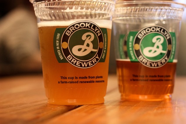 New York and Brooklyn-23