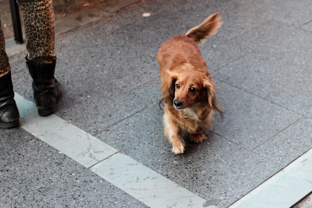 New York and Brooklyn-7