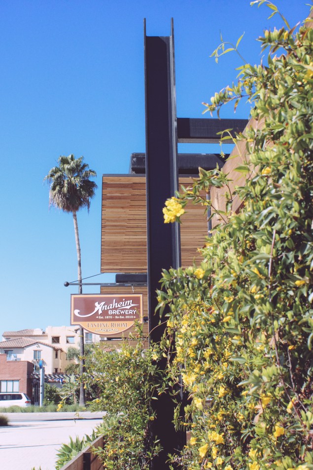 Anaheim Brewery WICBD (37 of 44)