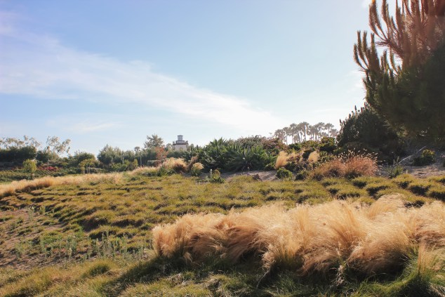 Dana Point Beer Event Pre-Post Pics (14 of 14)