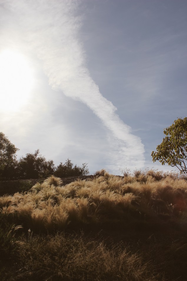 Dana Point Beer Event Pre-Post Pics (8 of 14)