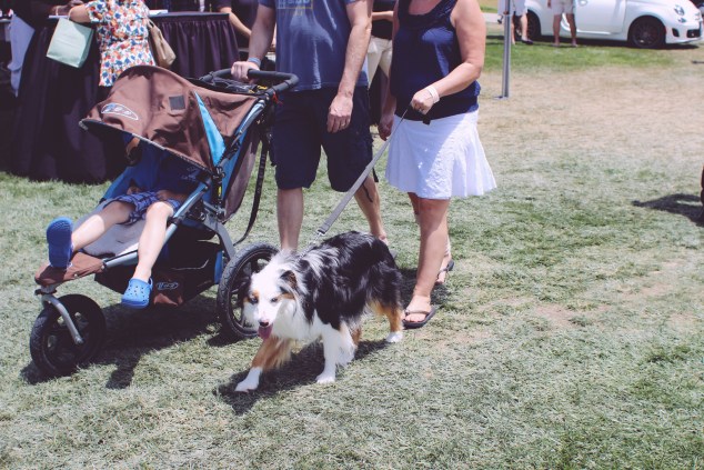 Dana Point Food And Wine Festival Edited (7 of 28)