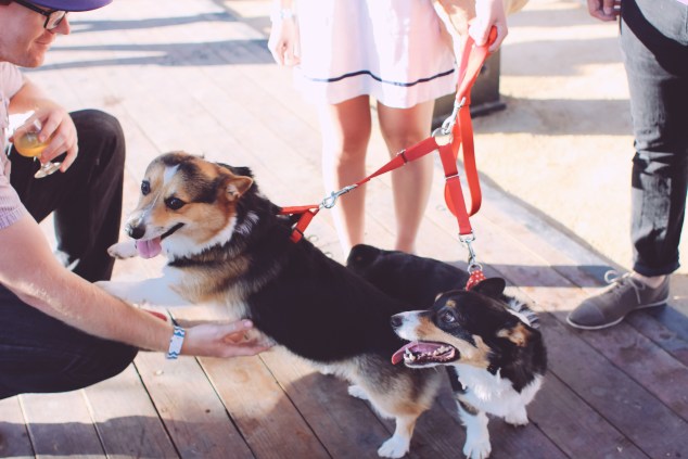 Nepenthia Beer Garden 2014 Edited (31 of 36)