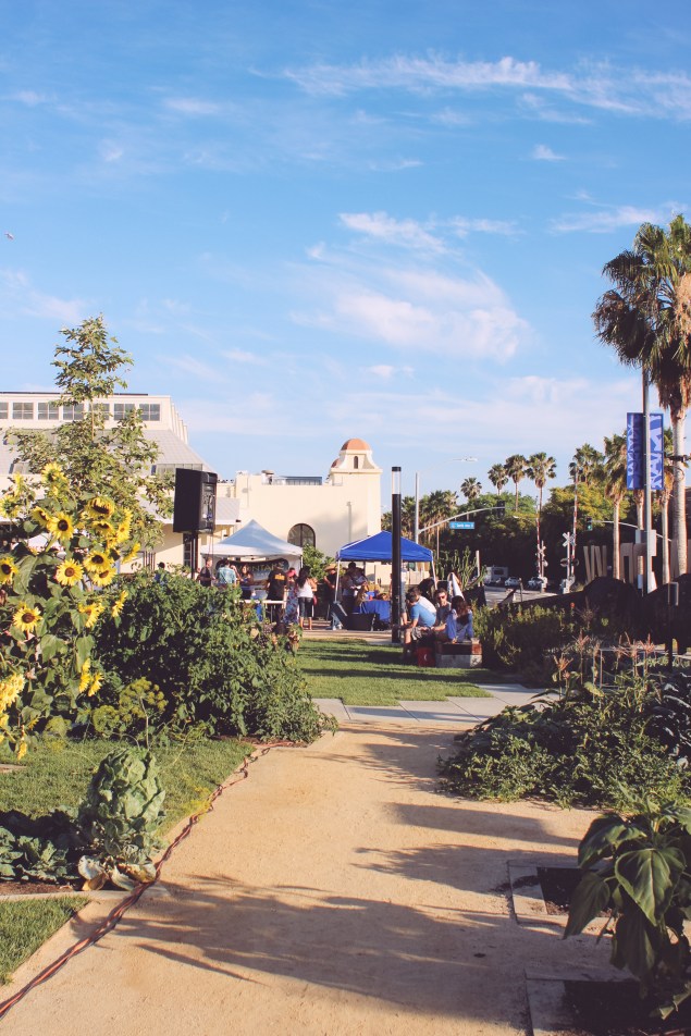 Nepenthia Beer Garden 2014 Edited (36 of 36)