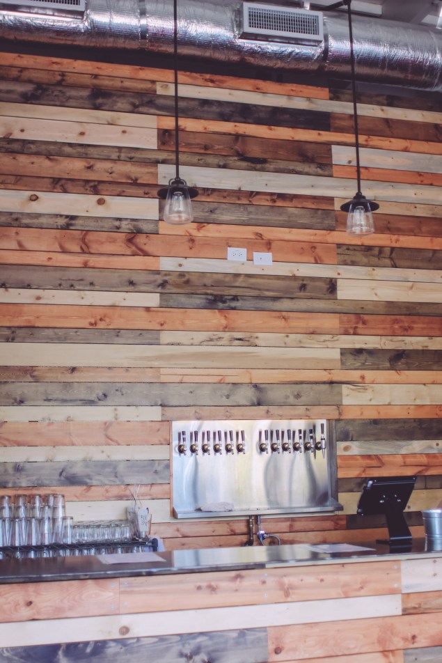 Artifex Edited (4 of 14)