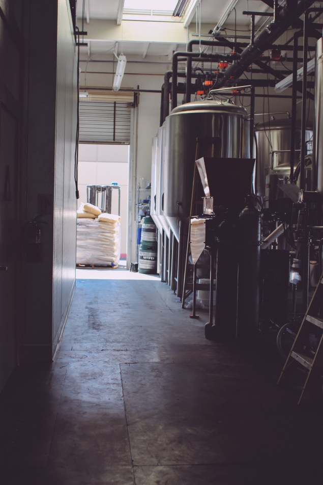 Artifex Edited (5 of 14)