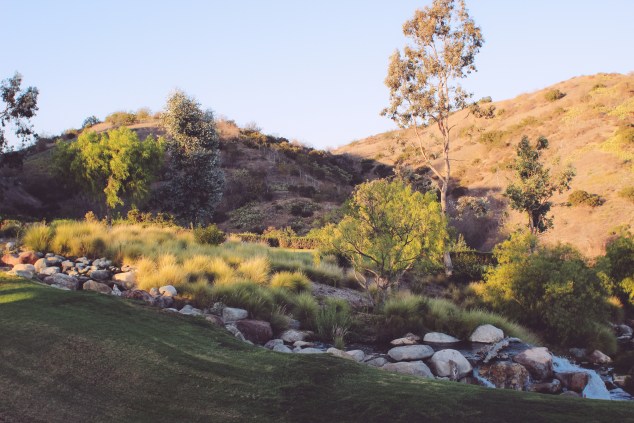 Hangar 24 Beer Dinner Edited (10 of 28)